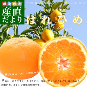 愛媛県より産地直送 JAえひめ中央 はれひめ LからMサイズ 約5キロ(35玉から50玉前後)　送料無料 オレンジ　柑橘類　みかん