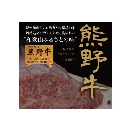 ふるさと納税 特選黒毛和牛 熊野牛 赤身ステーキ約600g 和歌山県串本町