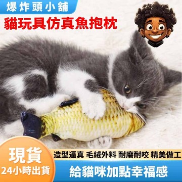 【隔日到貨】貓咪玩具仿真魚抱枕 貓玩具 貓草 貓薄荷 貓咪抱枕 貓草玩具 貓草包 貓草抱枕 逗貓玩具 逗貓