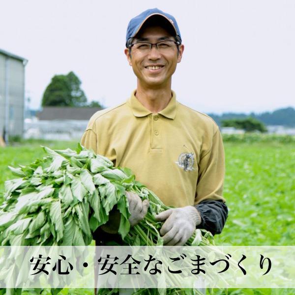 国産ごま 黒ごま 煎りごま 2袋入 無農薬 無化学肥料 除草剤不使用 宮崎県産 メール便