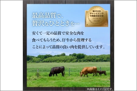 「熟成肉」焼肉(300g)〈焼肉 熟成肉 ロース 牛肉 ロース 300g 牛 国産 和牛 おすすめ こだわり セット バーベキュー ブレンド塩 旨味 加古川市〉