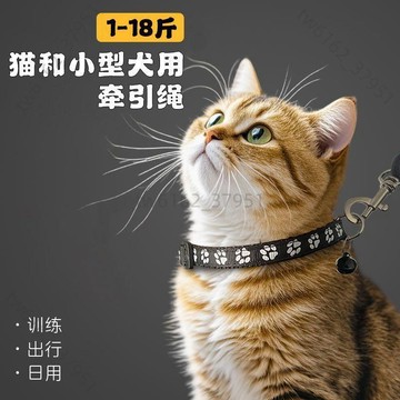 【免運 臺灣有貨】加長5/10米牽引繩小型家用寵物1-18斤鏈子寵物項圈小貓小狗牽引繩