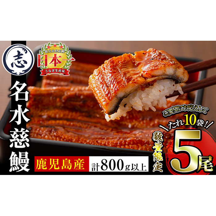 国産うなぎ蒲焼名水慈鰻5尾（合計800ｇ以上） c1-005