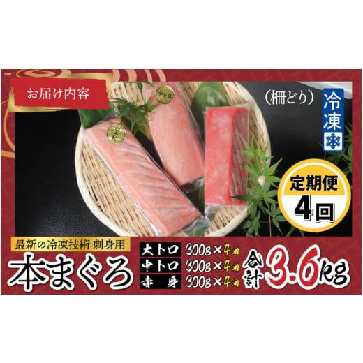 ふるさと納税 福井県 鯖江市 刺身用！本マグロ堪能セット（柵どり） 計 900g × 4回 [M-11004]