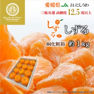 [予約 2023年 12月26日から12月31日の納品] しずる (雫琉)もしくは媛美月 約1kg 桐箱 愛媛県産 JAにしうわ 三瓶共選 JA八協共選