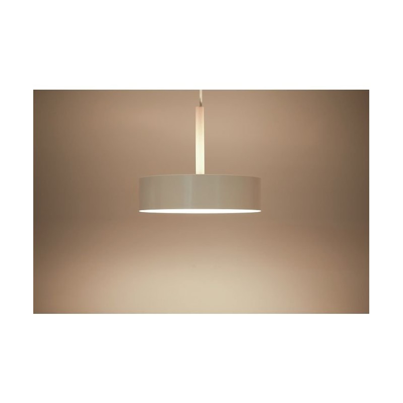 BRID OLIKA LAMP 3BULB PENDANT - 天井照明