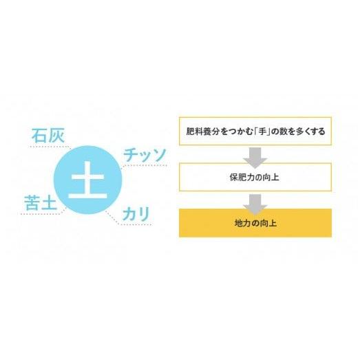 ふるさと納税 秋田県 由利本荘市 《定期便》 5kg×5回 令和5年産 ひとめぼれ 土作り実証米 合計25kg 秋田県産