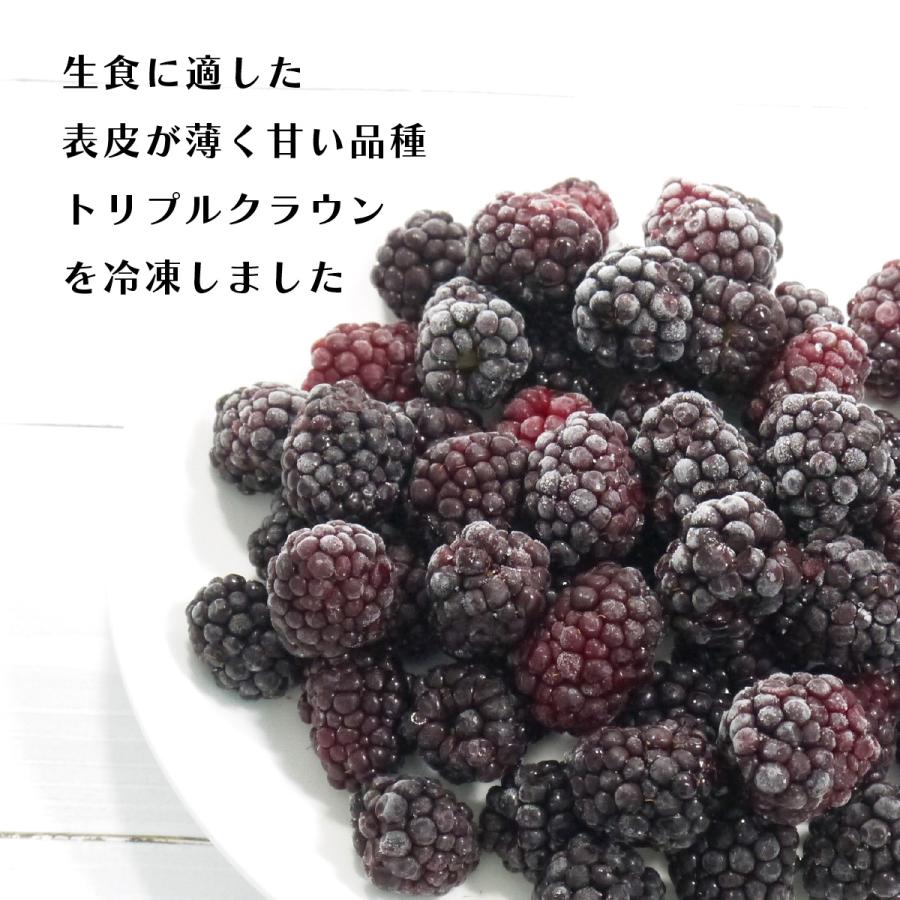 （冷凍）青森県産農薬・化学肥料不使用ブラックベリー果実（トリプルクラウン）サイズ混合約500g　国産ベリー