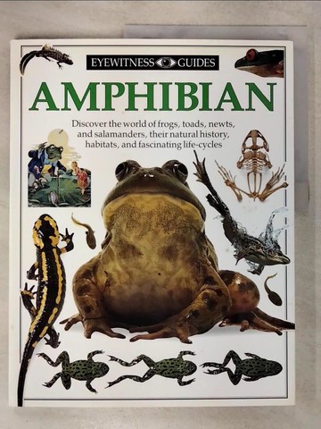 【書寶二手書T6／兒童文學_T6B】Amphibian_Clarke, Barry