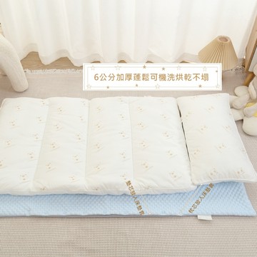 【cchhaaww】幼兒園睡袋 睡墊芯 枕芯 可機洗 可烘乾 加厚5cm蓬鬆加倍 台灣製 現貨