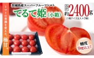  スーパーフルーツトマト てるて姫 小箱 約800g × 3箱  7〜13玉  糖度9度以上 ブランドトマト フルーツトマト トマト とまと  [BC037sa]