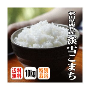 秋田県鹿角産淡雪こまち　10kg(5kg×2) 