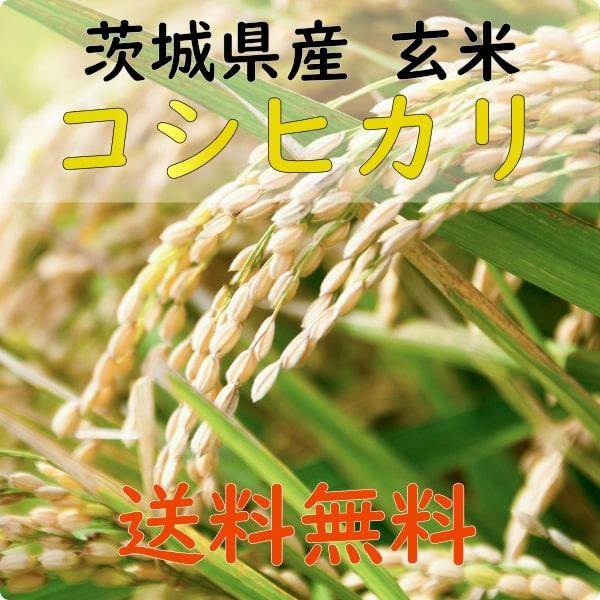 茨城県産コシヒカリ 24kg 玄米（精米無料）