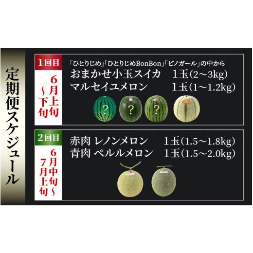 ふるさと納税 福井県 あわら市 《定期便全2回》フルーツ定期便 朝採り（小玉スイカ・マルセイユメロン・レノンメロン・ペルルメロン）農家直送 秀…