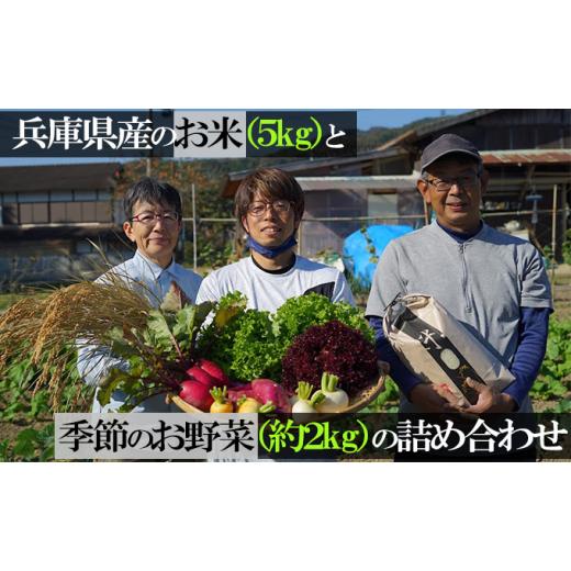 ふるさと納税 兵庫県 佐用町 兵庫県産のお米（3kg）と季節のお野菜（約2kg）の詰め合わせ