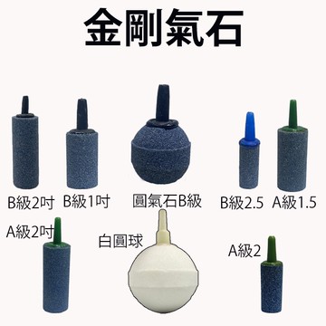 氣泡石/現貨/金剛氣石/白圓球氣石 |F3| 【龍爵士水族】