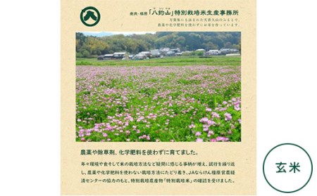 奈良・橿原　農薬や化学肥料不使用ヒノヒカリ新米5kg（5kg×1袋）
