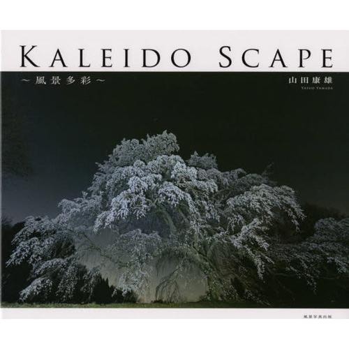 KALEIDO SCAPE 風景多彩