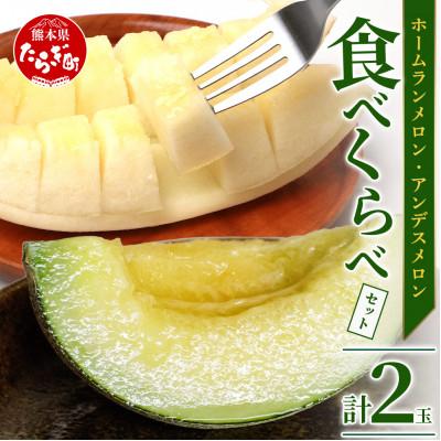 ふるさと納税 多良木町 熊本県産 ホームランメロン アンデスメロン 食べ比べ 計2玉 約3kg