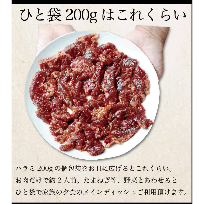 ギフト 肉 焼肉 福袋 1kg 肉 3種盛 焼肉セット 国産牛 訳あり ハラミ 豚 カルビ バーべキュー