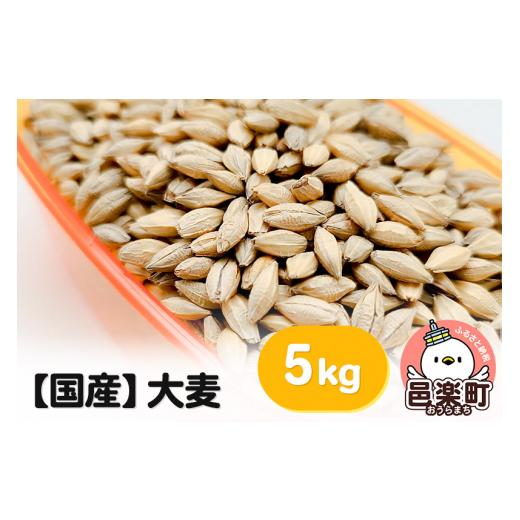 ふるさと納税 群馬県 邑楽町 大麦 5kg×1袋 サイトウ・コーポレーション 飼料