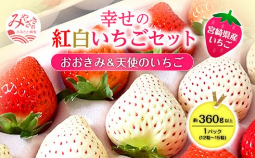 期間・数量限定 宮崎県産 イチゴ 幸せの紅白いちごセット おおきみ天使のいちご 1パック(約360g以上:12粒～15粒程度)_M260-006