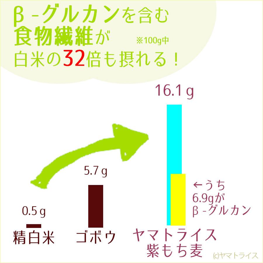 もち麦 国産 ダイシモチ 紫もち麦 滋賀県産 600g (300g×2袋)