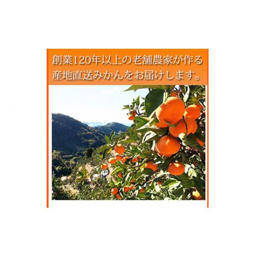 ふるさと納税 和歌山県 美浜町 大玉サイズ　完熟有田みかん　１０kg ※2023年11月下旬〜2024年1月下旬頃に順次発送予定