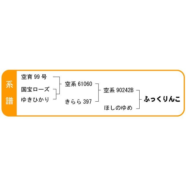 令和5年産　ふっくりんこ 精米 お試しパック　メール便　送料無料　北海道産　450g (3合)　ポイント消化 ポイント消費