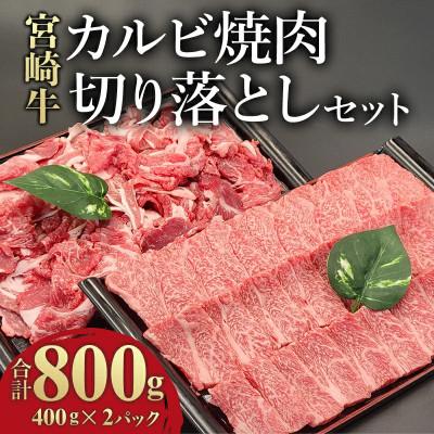 ふるさと納税 宮崎市 宮崎牛 贅沢2種セット 合計800g(カルビ焼肉・バーベキュー用400g・切り落とし400g)