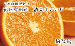 紀州有田産清見オレンジ 7.5kg ※2024年3月下旬頃～4月下旬頃に順次発送予定