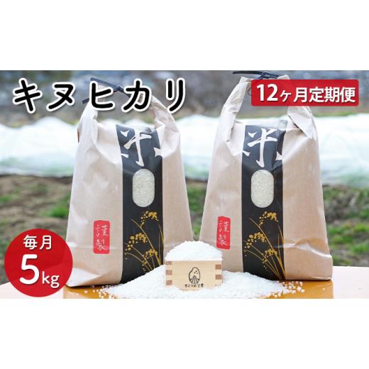 ふるさと納税 兵庫県 佐用町 兵庫県佐用町産 お米 5kg×12ヵ月（計60kg）キヌヒカリ 精米