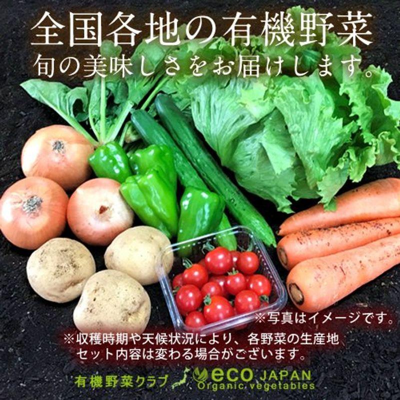 日本の有機野菜セット［8種類］季節の旬 有機農法 野菜 詰め合わせ 日本全国ご当地生産者 有機栽培 ベジタブル スムージー 野菜材料