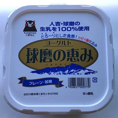 ふるさと納税 人吉市 球磨の恵みヨーグルト　1kg入り×4パック