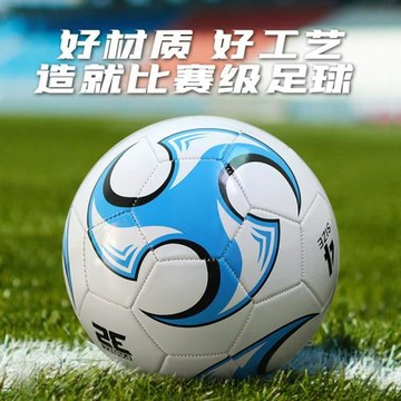 足球5號成人初中4號印字小學生3號兒童幼兒園比賽PVC足球印LOGO