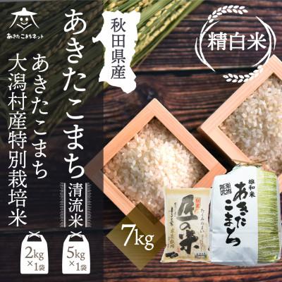 ふるさと納税 秋田市 秋田市雄和産あきたこまち5kgと秋田県大潟村産「匠の米」2kg