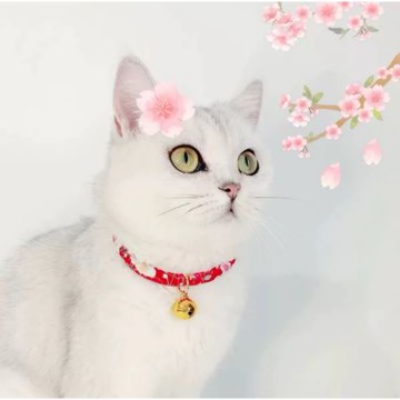【寵愛毛宅】日系和風貓咪鈴鐺 狗狗鈴鐺項圈 狗狗項圈 貓犬頸鏈
