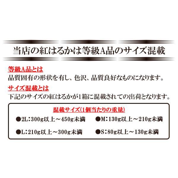 紅はるか さつまいも 5kg 送料無料 生芋 土付き さつま芋 薩摩芋 焼きいも 焼き芋 石焼き芋 芋 いも イモ 産地直送 鹿児島県産 FJK-000