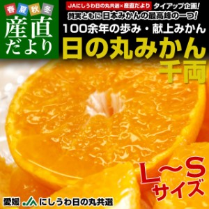 愛媛県より産地直送 JAにしうわ 日の丸みかん 千両 LからSサイズ 5キロ(40玉から60玉) 送料無料 蜜柑 ミカン