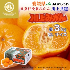 [予約2023年12月1日-12月25日の納品] 川上みかん 約3kg 2L 愛媛県 JAにしうわ 西宇和みかん 味ピカ と同じ 川上 化粧箱