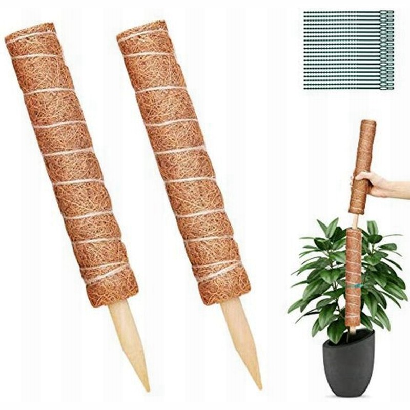 園芸支柱40cm 2個 植物支柱 観葉支柱 ココナッツ支柱 環境保護 天然ココナッツ 給水 ガーデニング フラワースタンド 花支え 植物サポ 通販 Lineポイント最大0 5 Get Lineショッピング