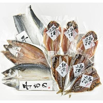 ふるさと納税 七尾市 能登半島の いしる干し