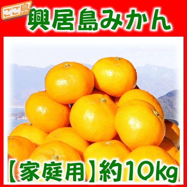 家庭用 興居島みかん 約10ｋｇ北海道・沖縄別途送料1000円