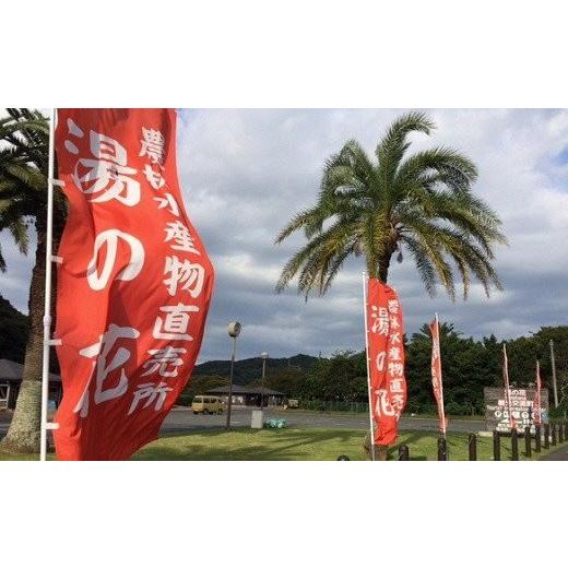 ふるさと納税 静岡県 南伊豆町 湯の花　旬のフルーツセット２か月間の定期便