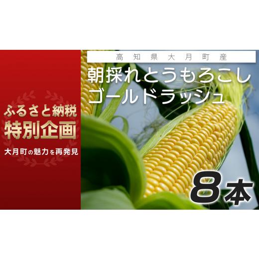 ふるさと納税 高知県 大月町 朝獲れ ゴールドラッシュ 8本