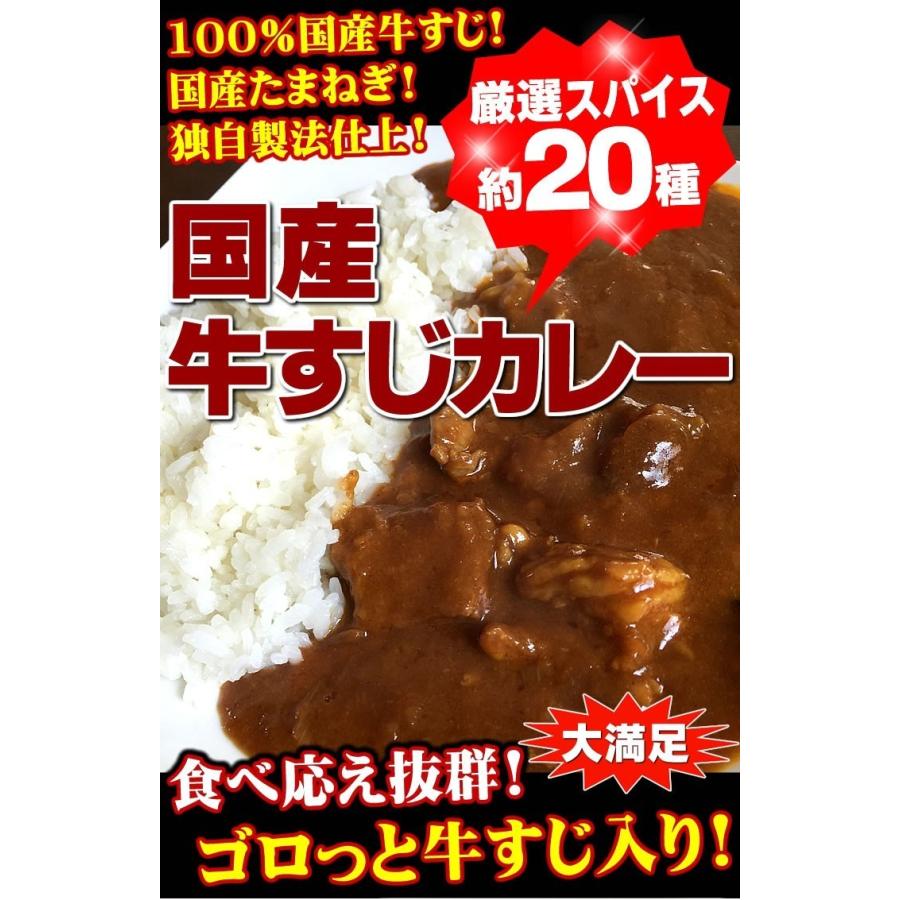 牛すじカレー 1袋 100％国産 牛すじ たまねぎ使用 中辛 惣菜 レトルト 送料無料 非常食 おつまみ 珍味 牛肉 ご飯のお供 贅沢