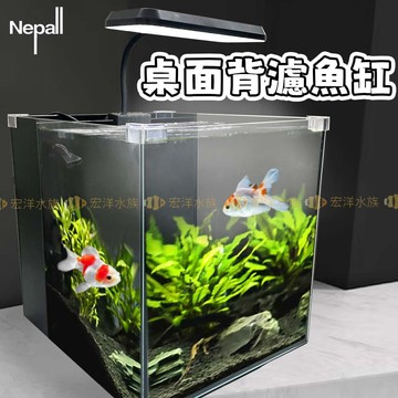 宏洋水族【桌面背濾魚缸】含馬達+生化棉+燈（完整過濾系統）懶人魚缸〞魚缸 水族箱 套缸 桌缸 超白缸 小魚缸 背濾魚缸