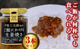 ご飯にかける生姜焼き 3本セット F20B-004
