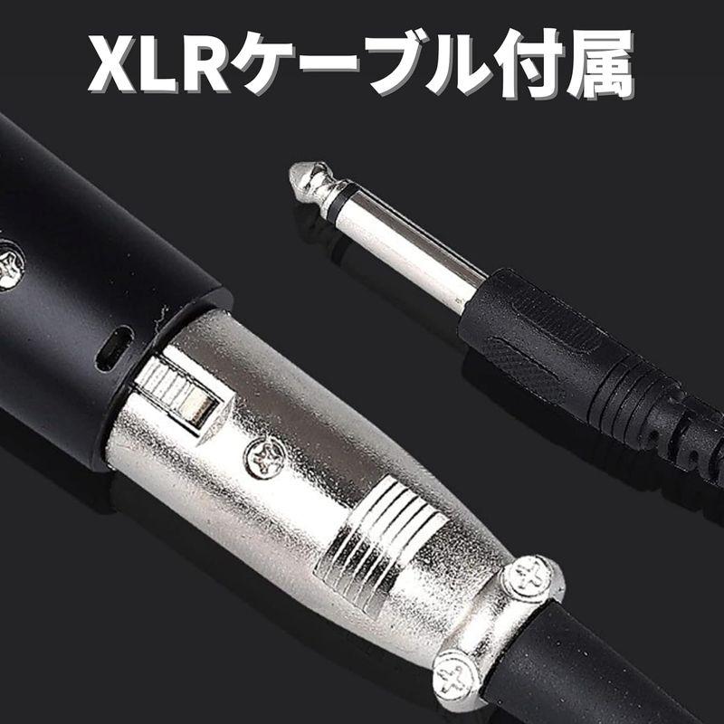 Fujirec ダイナミックマイク XLR フォンケーブル ボーカル 有線 ハンドマイク ナレーション カラオケ DTM スイッチ付き 単一