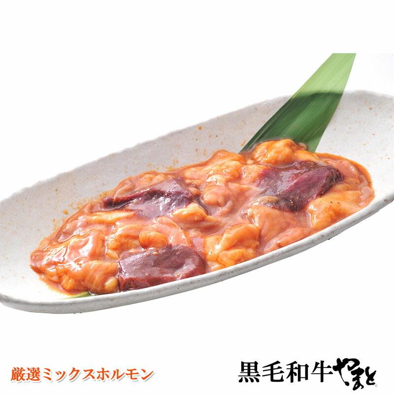 ホルモン ミックス 味付き 300g × パック 合計600ｇ